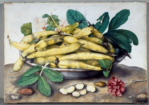 Asetelma leveillä papupaloilla (wc pergamentilla)